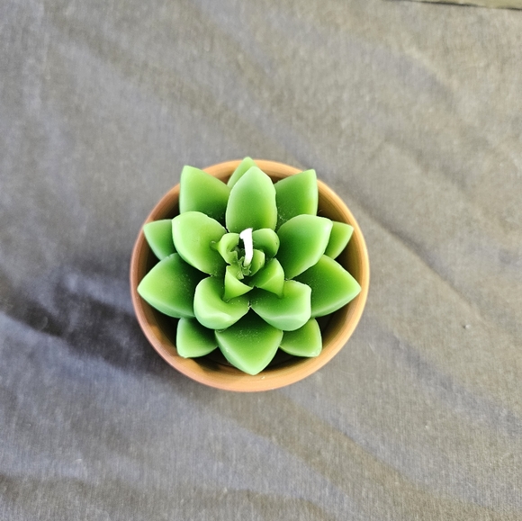 COPY - Homemade Beeswax Succulent/Cactus Pot Candles x4 - Picture 8 of 8